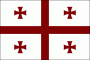 Georgia Nylon Flag