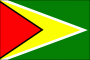 Guyana Nylon Flag