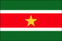 Suriname Nylon Flag