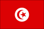 Tunisia Nylon Flag