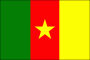 Cameroon Nylon Flag