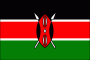 Kenya Nylon Flag