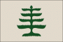 3x5' nylon Pine Tree flag w/h&g
